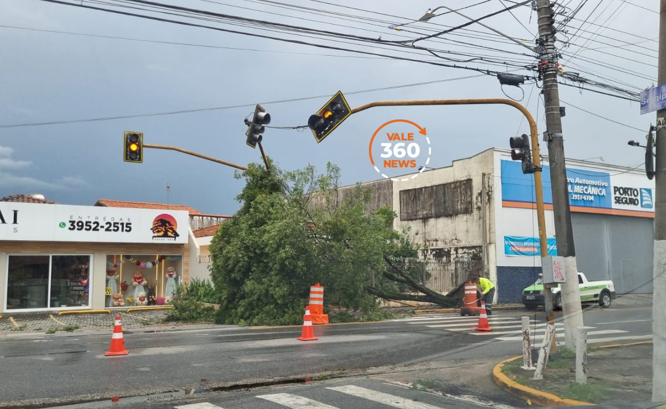 Chuva forte e vento causam quedas de árvores e alagamento em Jacareí