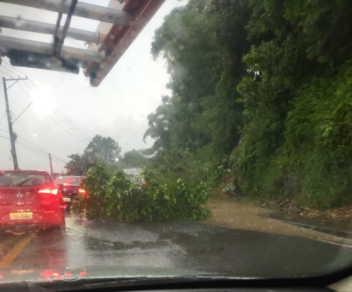 Chuva causa queda de barreiras, de árvores e alagamentos em São José dos Campos