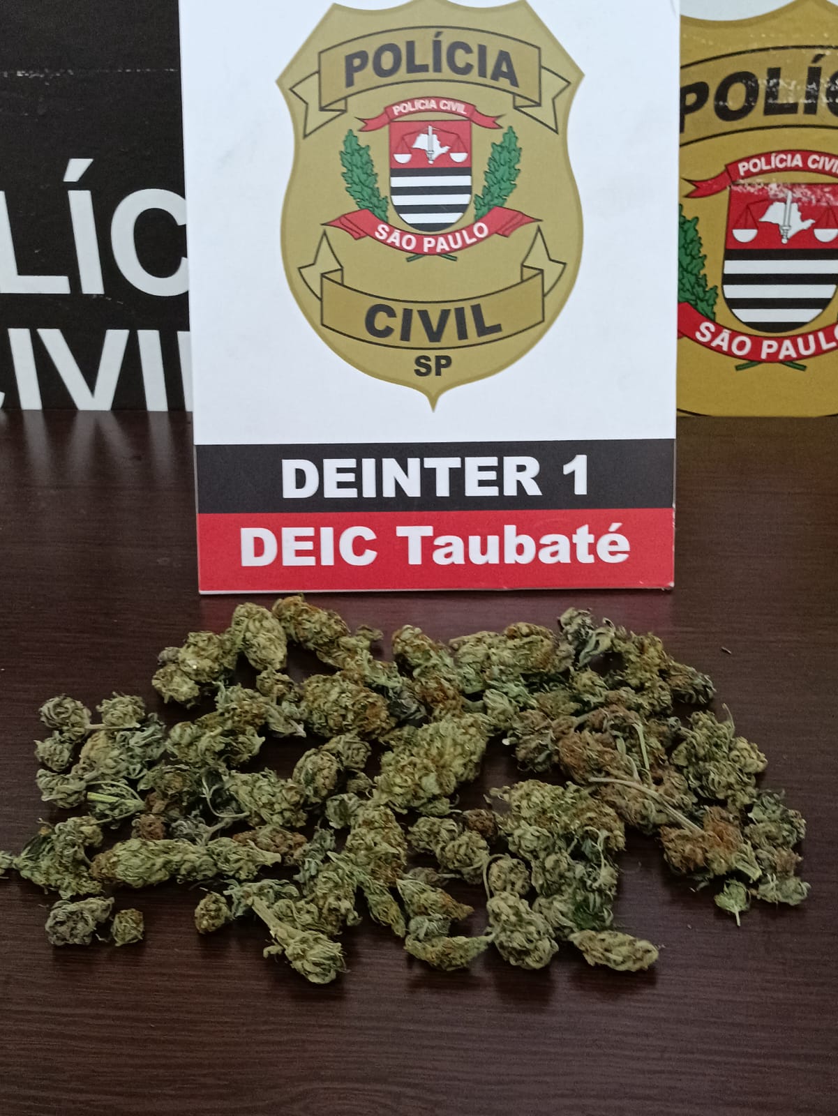 Maconha de alto valor era negociada pela internet a partir de Taubaté por R$ 73