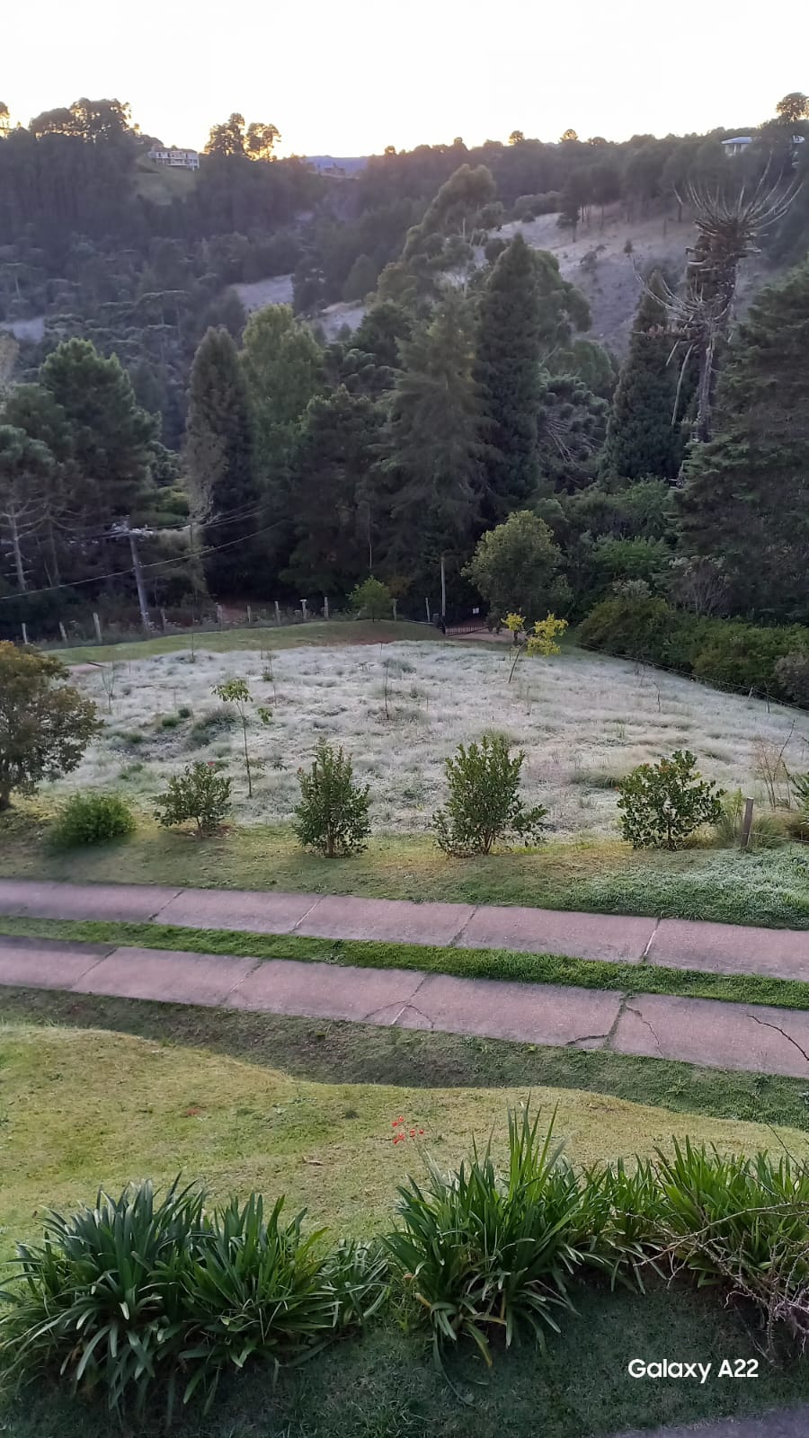 Inverno antecipado: Temperatura chega a 2ºC em Campos do Jordão. Taubaté registra 6,8ºC