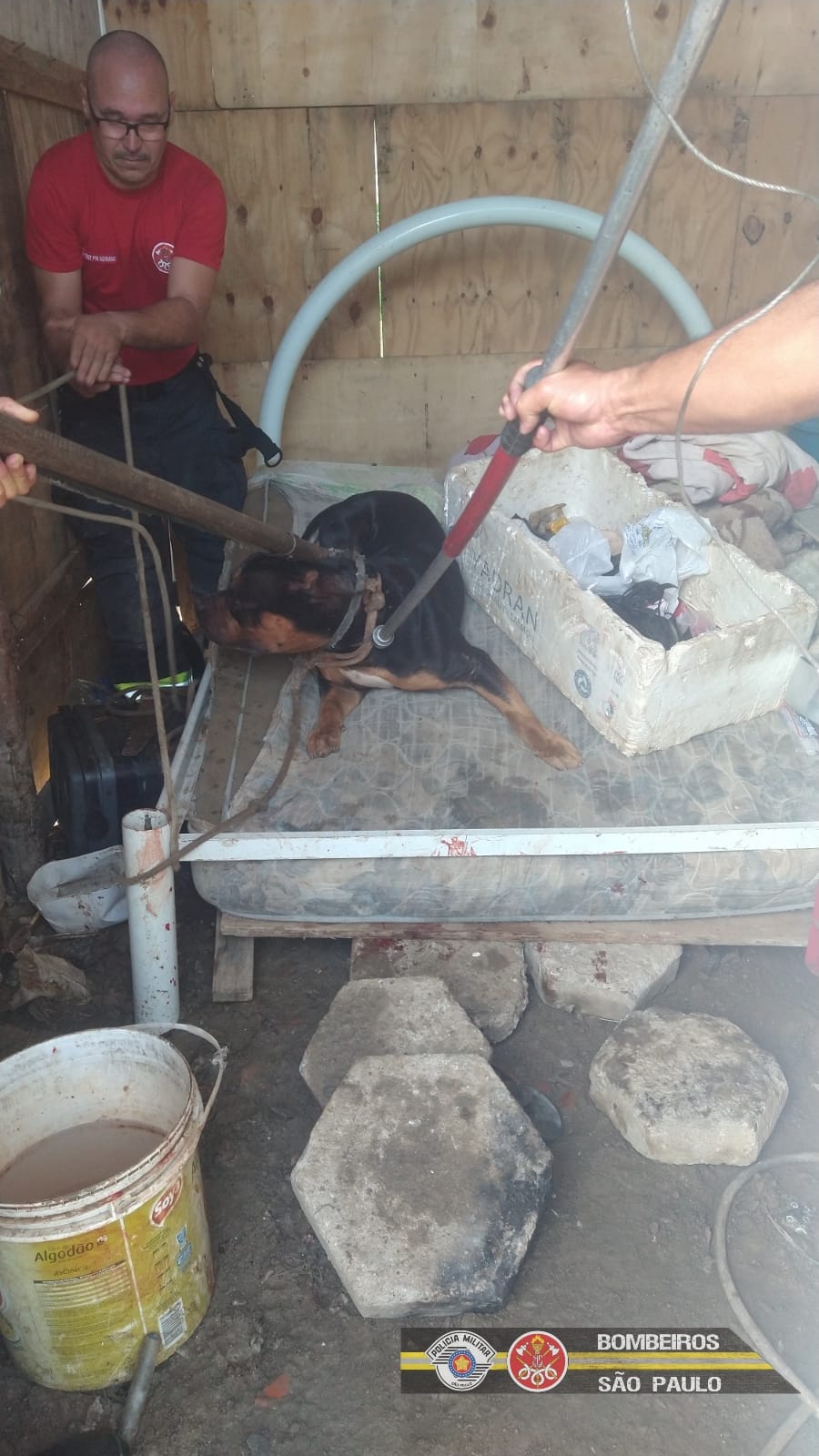 Rottweiler ataca homem em Caraguatatuba e é socorrido ao hospital
