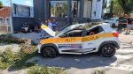 Árvore cai sobre carro e deixa aluna de autoescola ferida em São José dos Campos