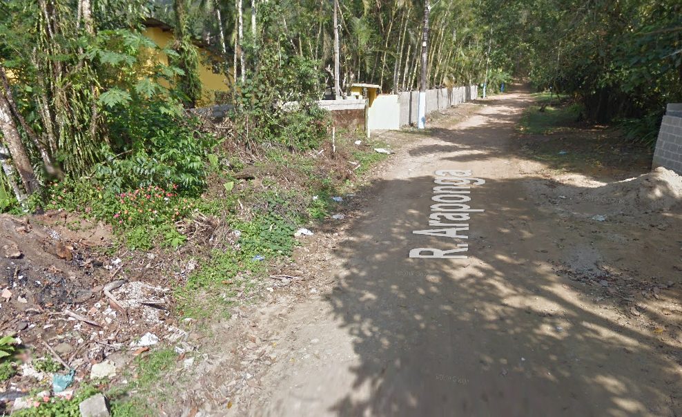 Idoso morre enquanto cortava árvore em Ubatuba