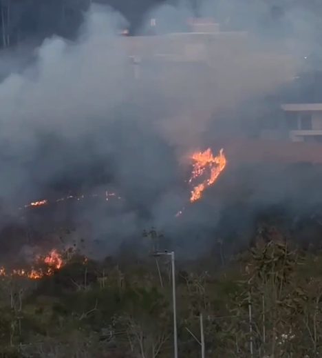 Bombeiros controlam incêndio que colocou em risco casas em bairro nobre de São José dos Campos