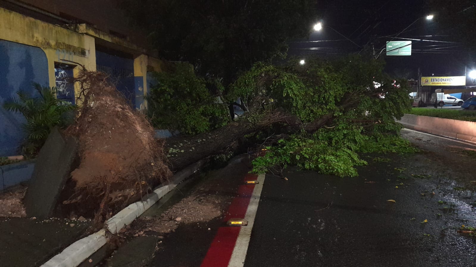 Temporal em Taubaté causa queda de árvores e danifica cobertura da Avenida do Povo