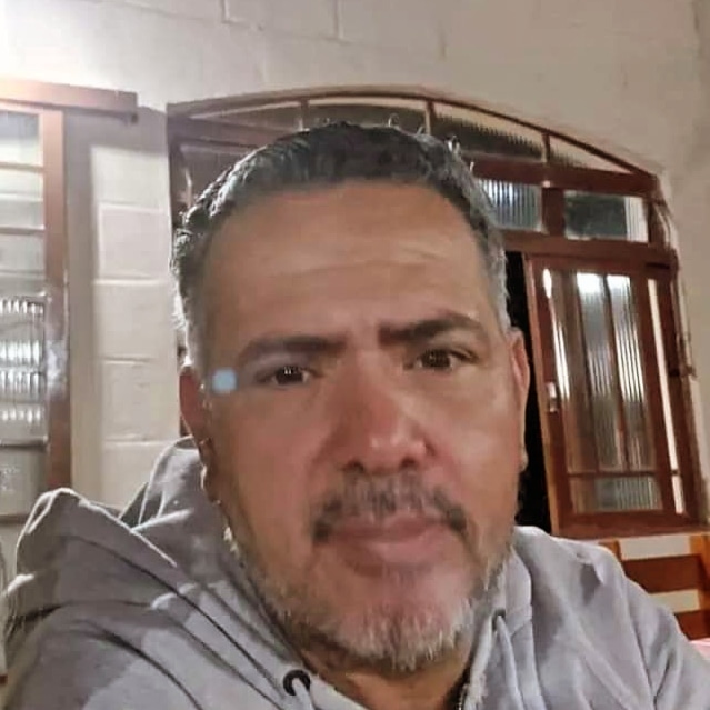 Casa é atingida por árvore