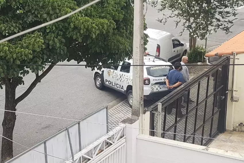 Polícia Ambiental tenta resgatar Pastor Belga que atacou mulher em São José dos Campos
