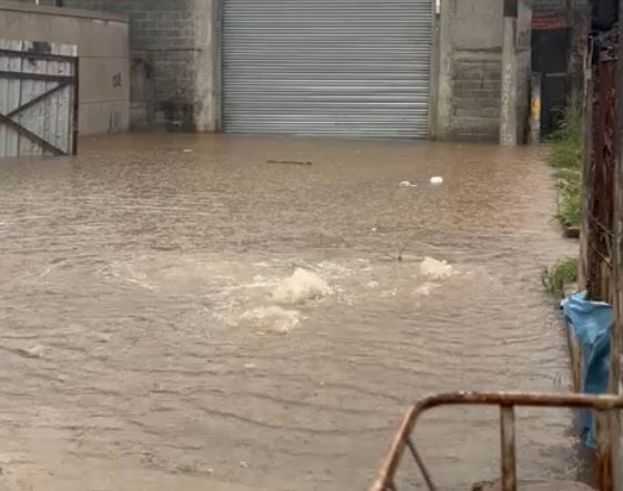 temporada de verão