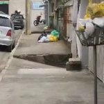 Lixão a ceu aberto