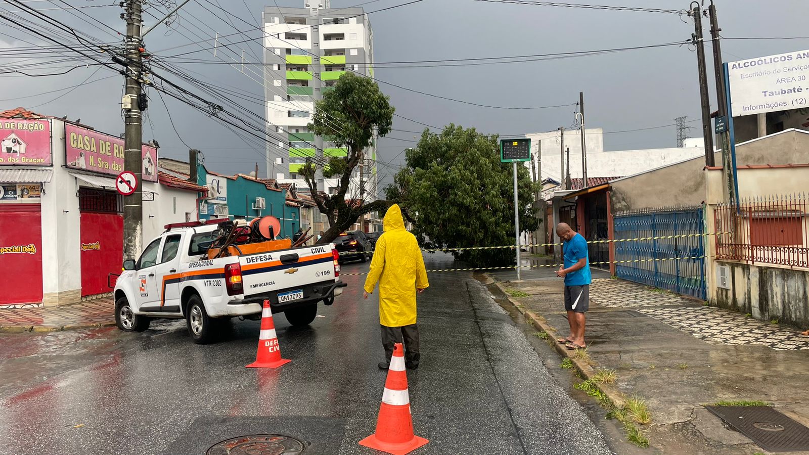 Temporal em Taubaté derruba árvores