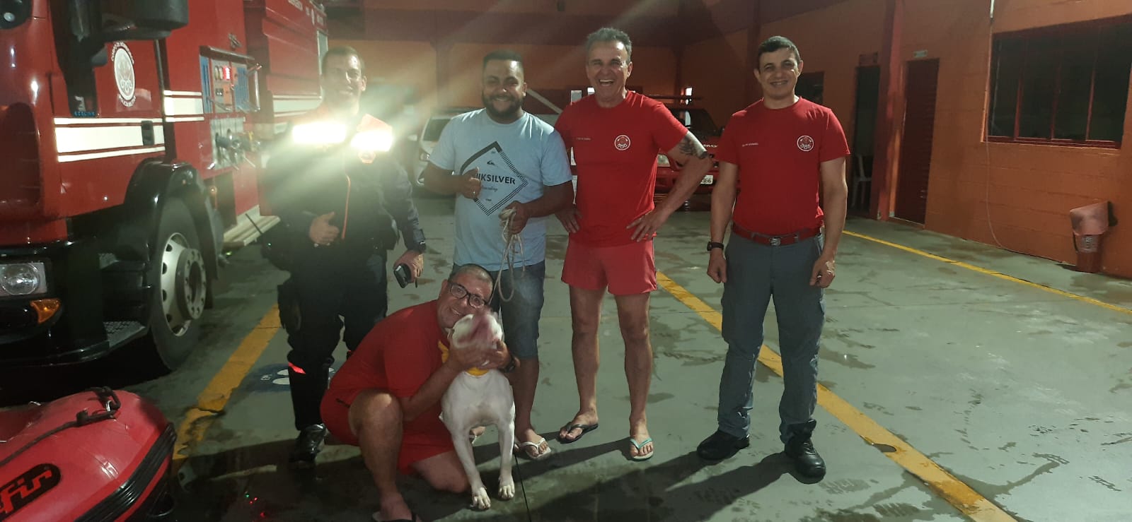 pitbull