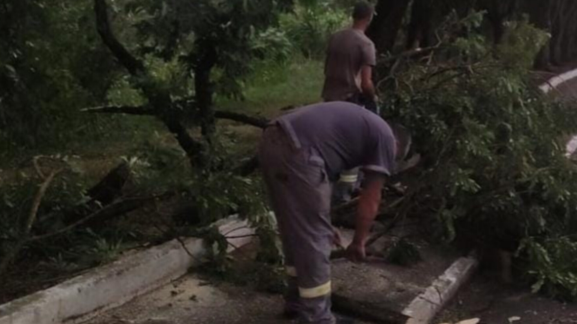 Chuvas serão frequentes durante a semana no Vale do Paraíba e Litoral Norte