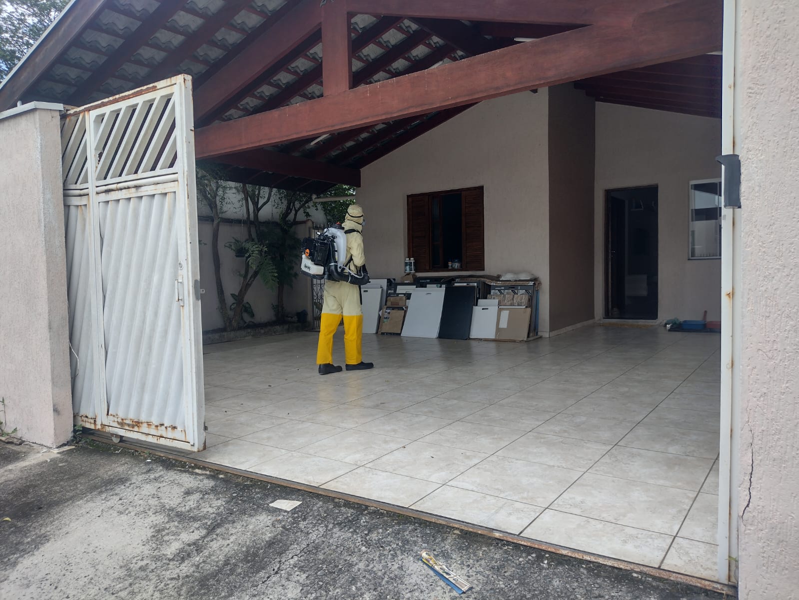 dengue