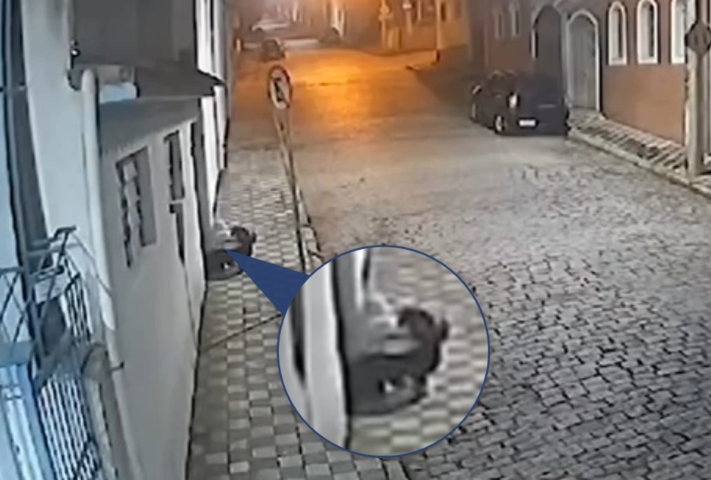 Veja o momento em que recém-nascido é abandonado em rua de Jacareí