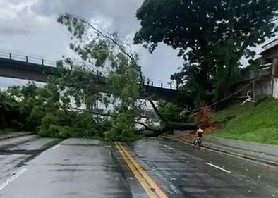 Temporal em São José dos Campos causa estragos e dá nó no trânsito