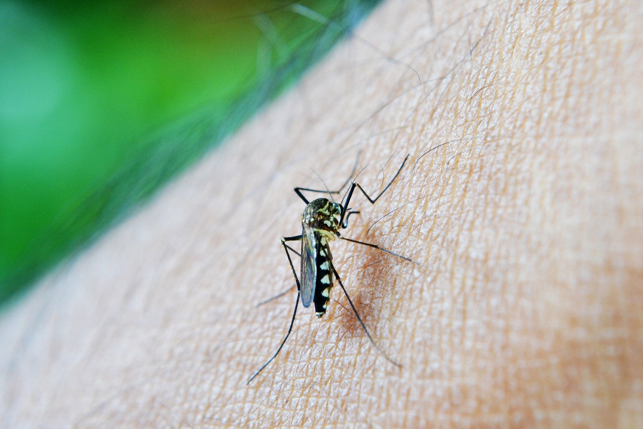 Primeira morte por dengue em Tremembé é confirmada
