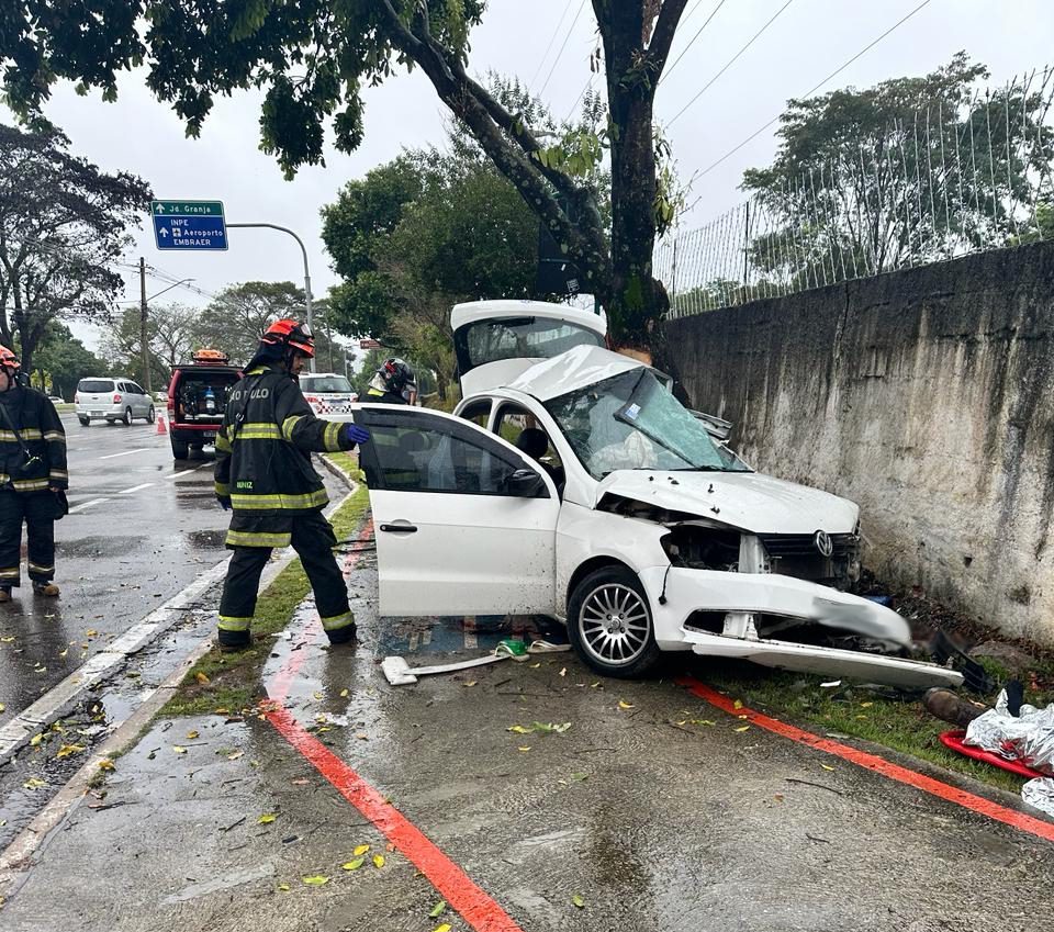 Motorista bate em árvore