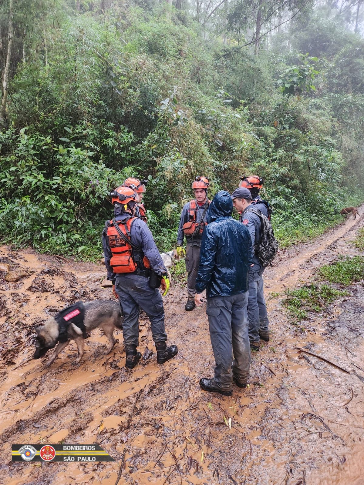 Bombeiros encerram buscas por romeiro que desapareceu em trilha de Piquete