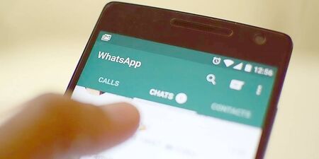 WhatsApp cai