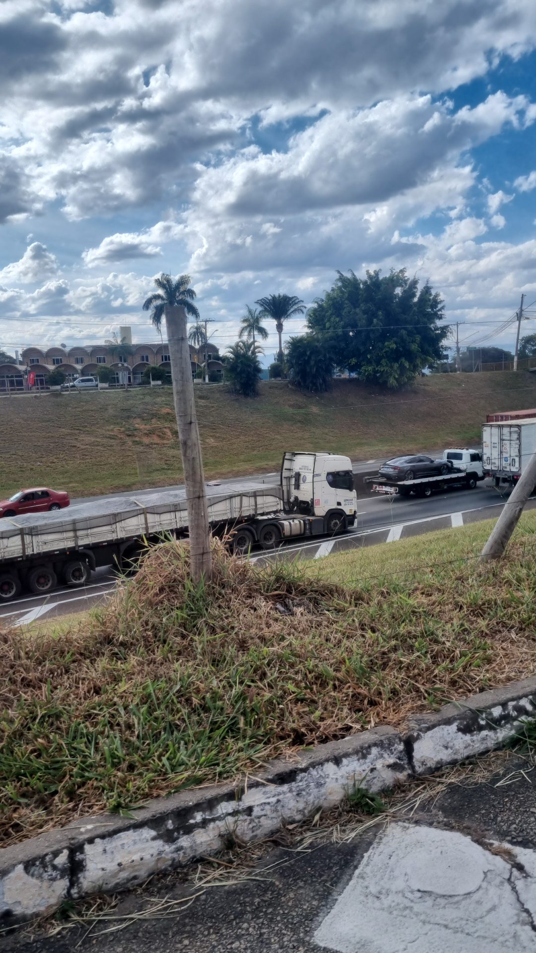Acidente entre carros e animal complica o trânsito na Via Dutra em Caçapava