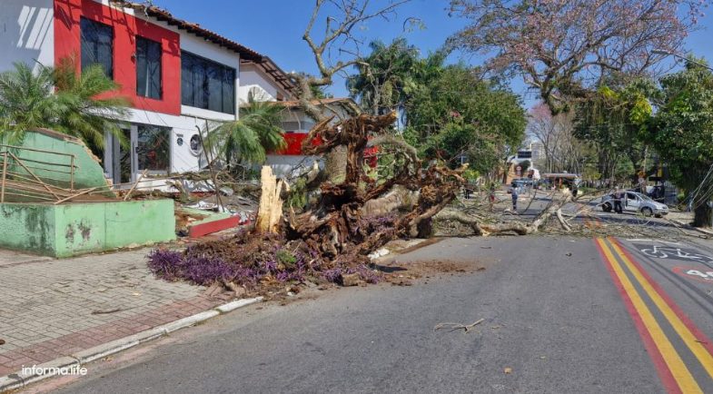 Avenida Anchieta em São José dos Campos