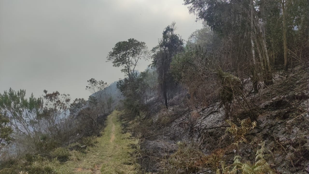 Defesa Civil e Bombeiros extinguem fogo em mata que consumiu quase 400 campos de futebol na Serra da Bocaina