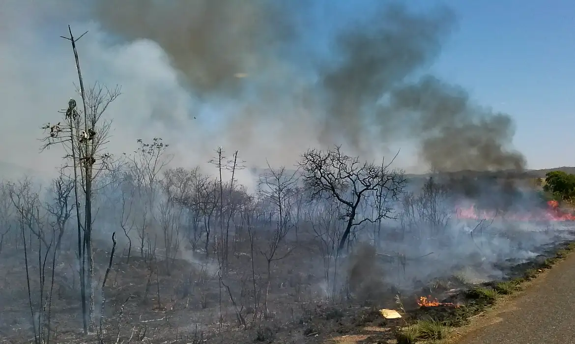 Área de mata dentro do INPE volta a pegar fogo e mobiliza defesa civil e Bombeiros