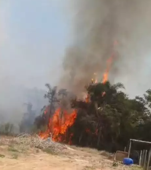 Incêndio retrata desespero de moradores de São José dos Campos