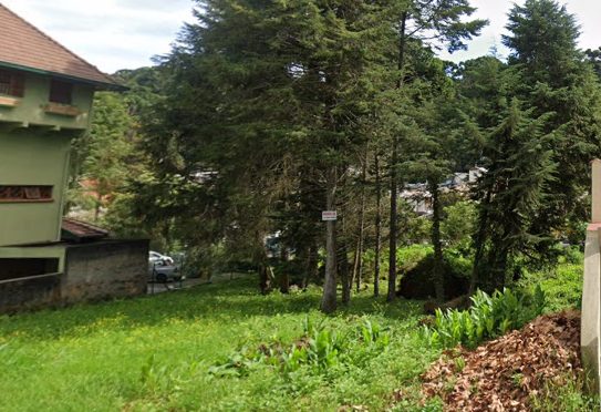 Homem é preso em flagrante por colocar fogo em área de proteção ambiental em Campos do Jordão