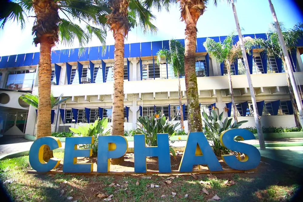 Cephas tem 2.500 vagas abertas para cursos gratuitos em São José dos Campos