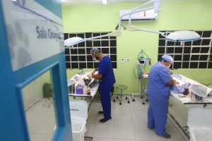 castração e microchipagem de cães e gatos