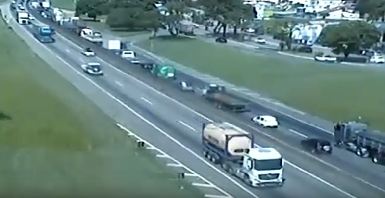 Capivara causou o acidente na Via Dutra,