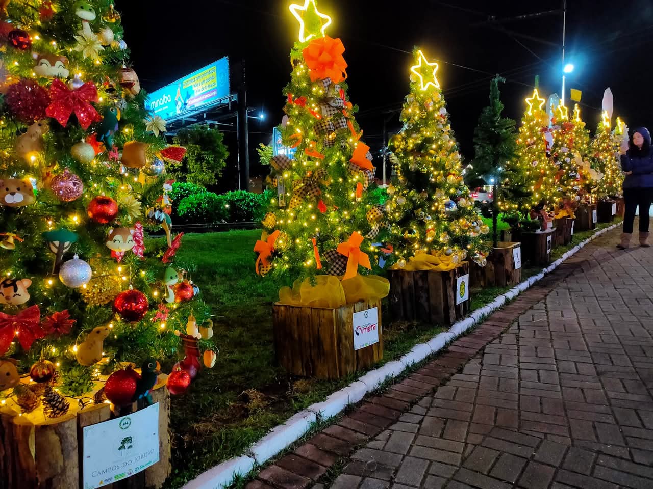 Tudo o que você precisa saber sobre a temporada de Natal em Campos do Jordão, que espera 1,2 milhão de turistas