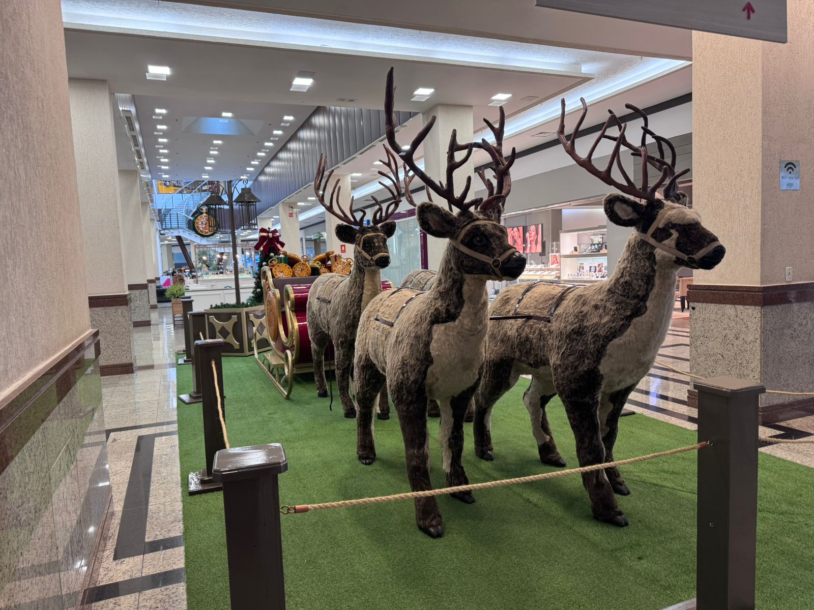Natal em Shopping de São José dos Campos promete encantar adultos e crianças