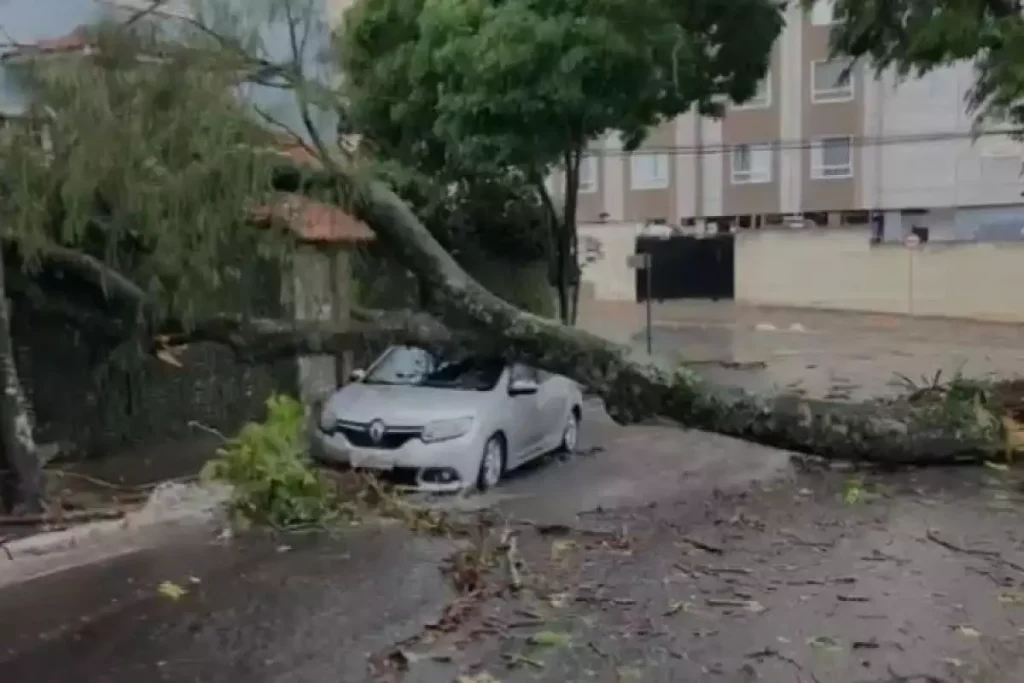 Veja Imagens: Chuva e rajadas de vento de 92 km/h derrubam árvores em São José dos Campos 2 c6859d93ee575876dc0e5364959792b7