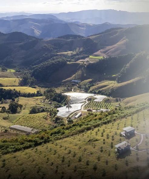 Azeite da Serra da Mantiqueira é eleito o melhor em concurso na Europa 1 Azeite da Serra da Mantiqueira