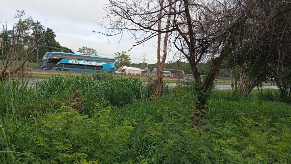 caminhão e ônibus