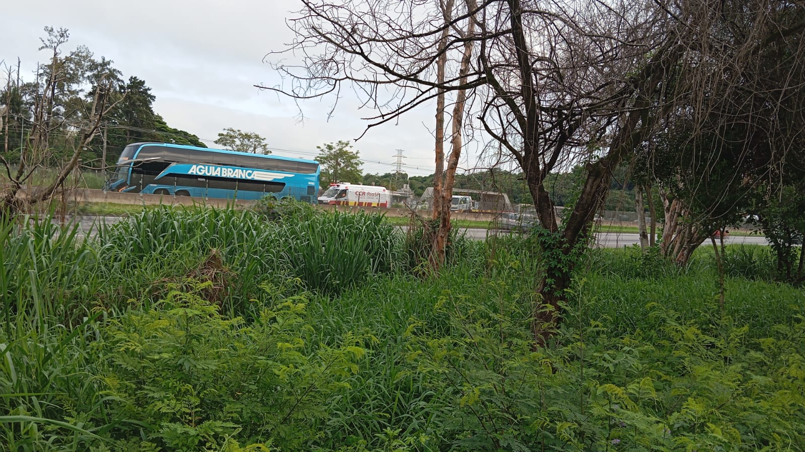 caminhão e ônibus