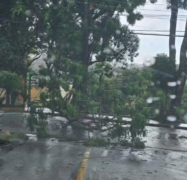 Jacareí se recupera de temporal