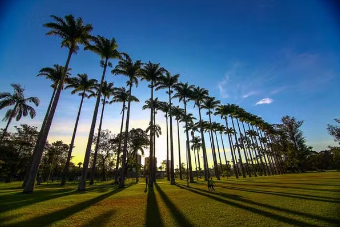 Anderson Farias (PSD) revela avanços para a concessão do Parque da Cidade; outros parques podem ser concedidos à iniciativa privada em São José dos Campos