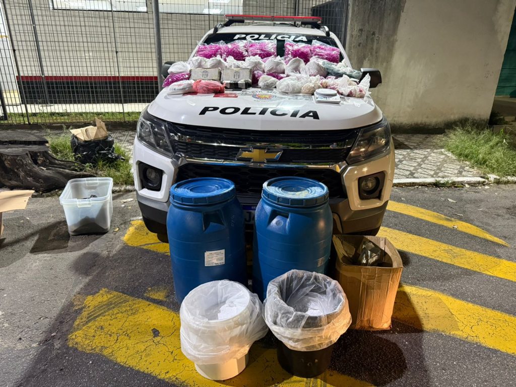 pinos de cocaína