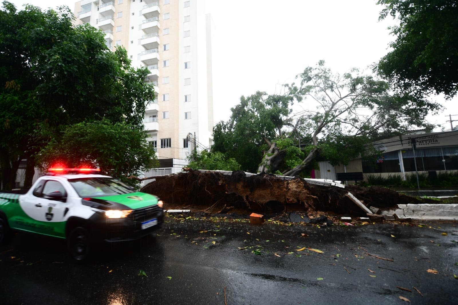 Temporal em Taubaté derruba 23 árvores