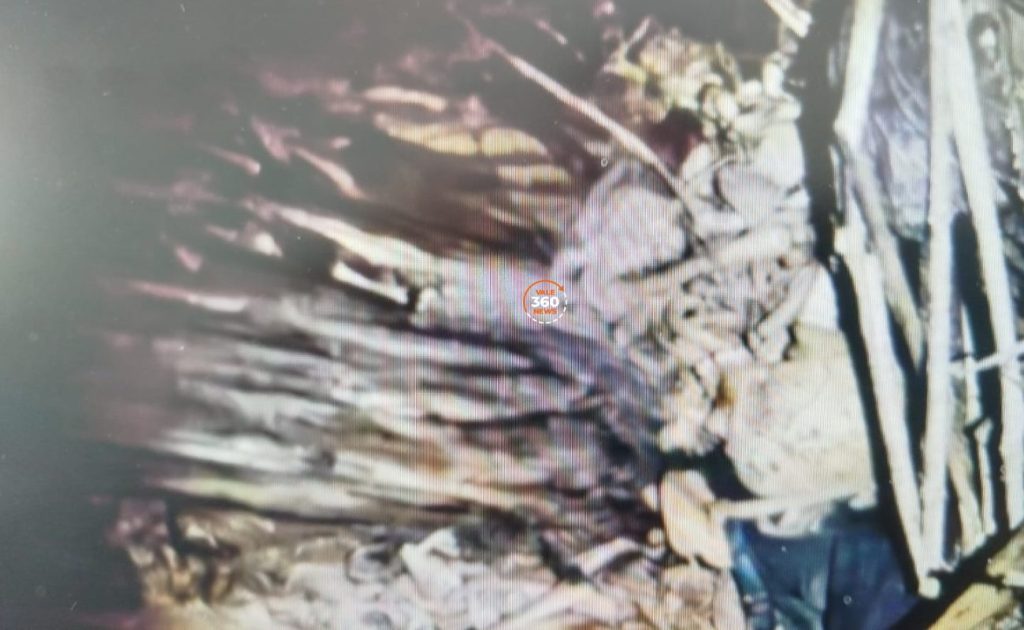 Ossada humana é encontrada em terreno de mata em São José dos Campos e polícia busca identificar a pessoa morta 2 Ossada humana