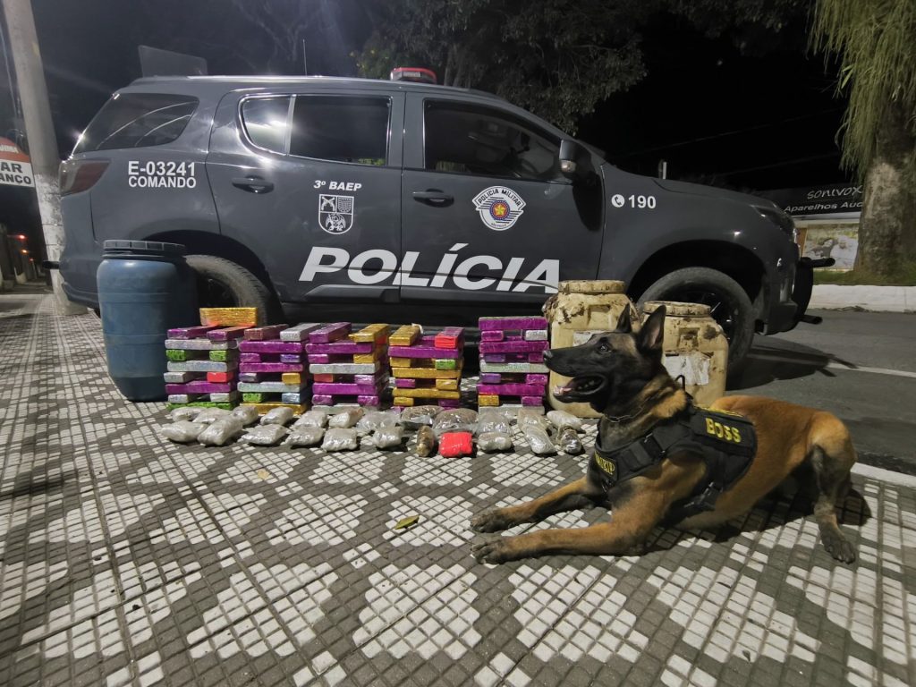 cão farejador