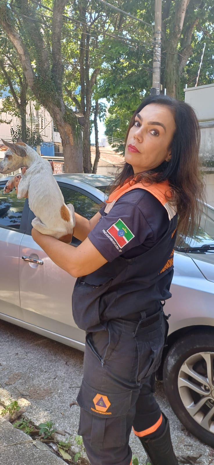 maus-tratos a cães