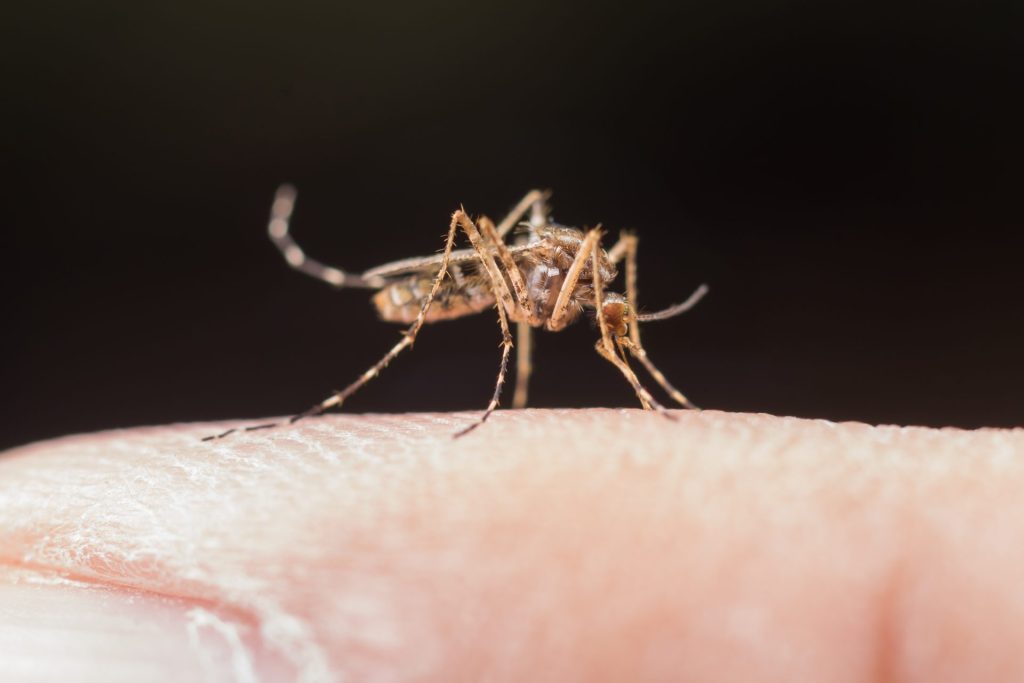 Alerta Epidemiológico