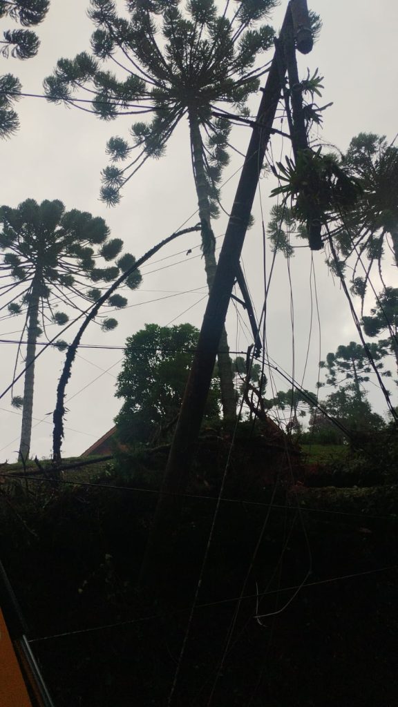 queda de árvores em Campos do Jordão