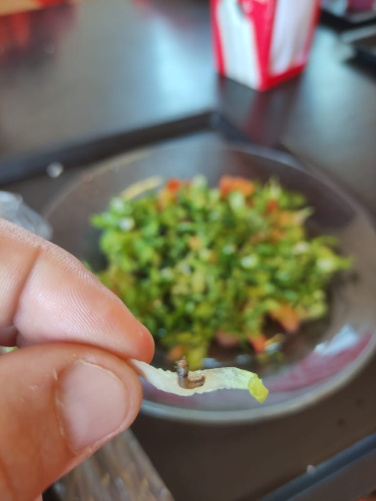 larvas em comida