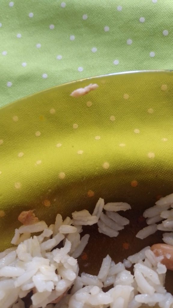 larvas em comida