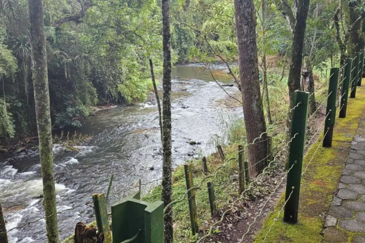 Parque Reino das Águas Claras será revitalizado em Pinda